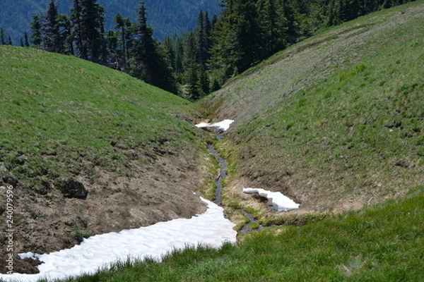 Obraz Olympic National Park