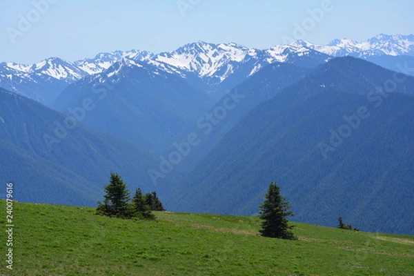 Obraz Olympic National Park