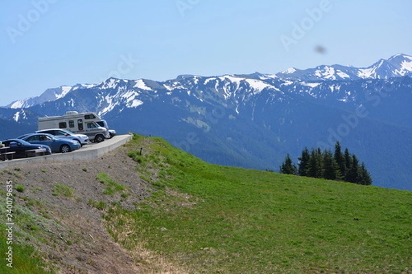Obraz Olympic National Park