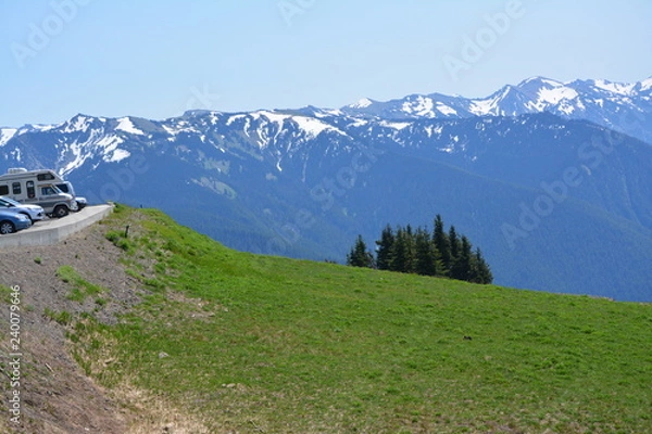 Obraz Olympic National Park