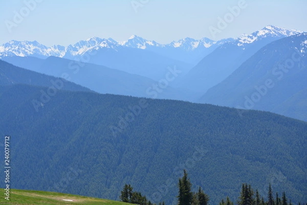 Obraz Olympic National Park