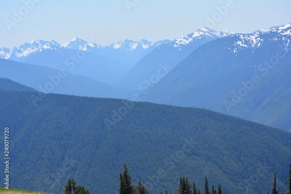Obraz Olympic National Park
