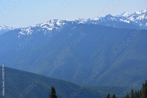 Obraz Olympic National Park