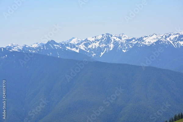 Obraz Olympic National Park