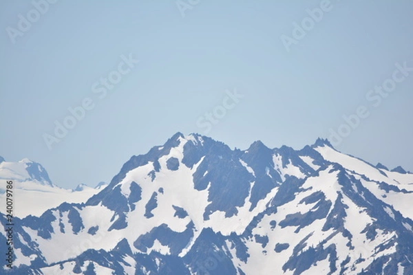 Obraz Olympic National Park