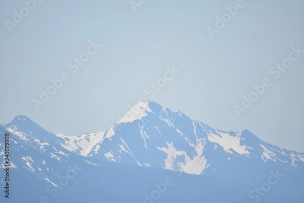 Obraz Olympic National Park