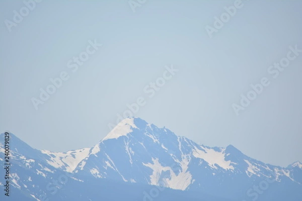 Obraz Olympic National Park