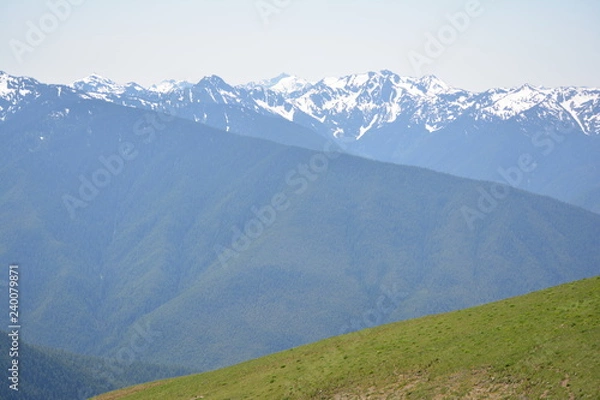 Obraz Olympic National Park