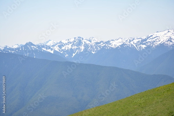 Obraz Olympic National Park