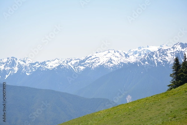 Obraz Olympic National Park