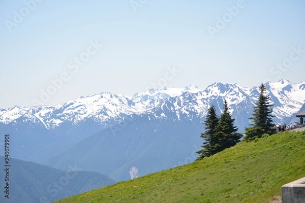 Obraz Olympic National Park