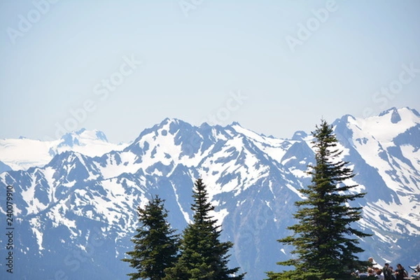 Obraz Olympic National Park