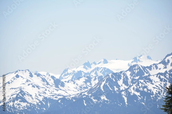 Obraz Olympic National Park