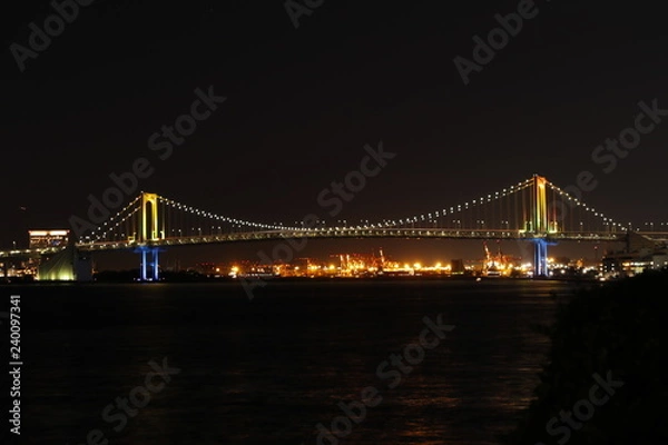 Fototapeta 東京湾の夜景