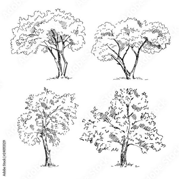 Obraz Hand drawn tree sketches set. Vector illustration.