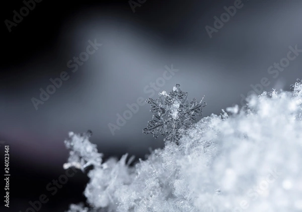Fototapeta snowflake on snow, snow
