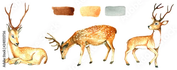 Obraz Large set of wild deer.