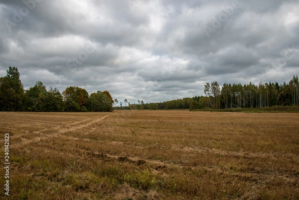 Fototapeta empty countryside landscape in autumn with fields and meadows and rare trees in background