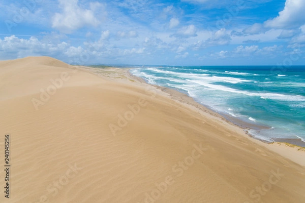 Fototapeta 鳥取砂丘　砂浜