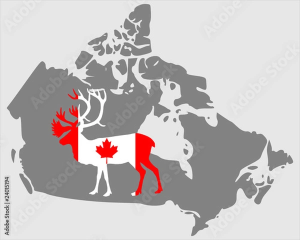 Obraz Kanadisches Karibu