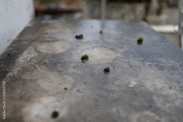 Obraz wet and moldy Granite table texture