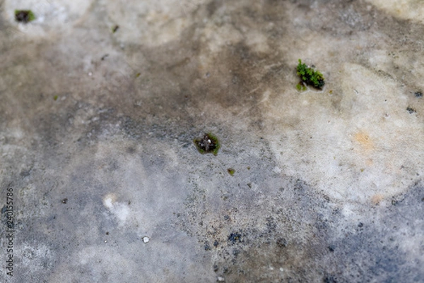 Obraz wet and moldy Granite table texture