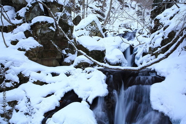 Fototapeta 冬の渓流