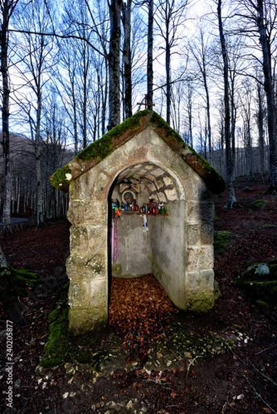 Obraz grave in cemetery