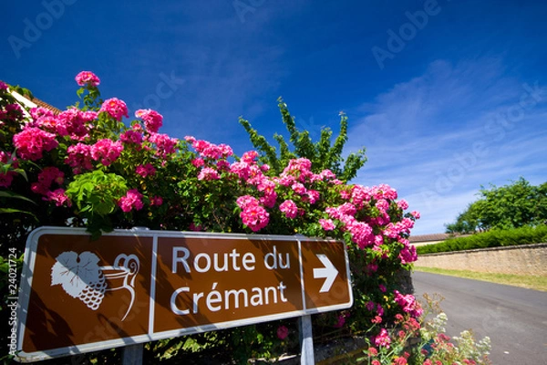 Fototapeta route du cremant