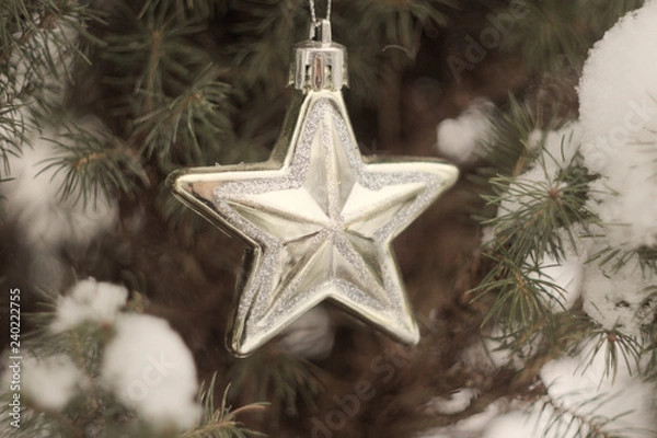 Fototapeta Christmas decoration in the form of a silver star with patterns on the background of snow-covered coniferous tree close-up