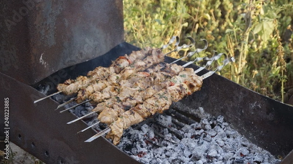 Obraz meat on the grill