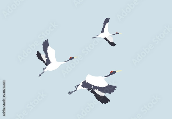 Fototapeta 새해 / 명절