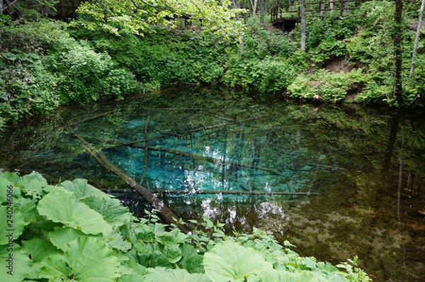 Obraz 北海道・神の子池