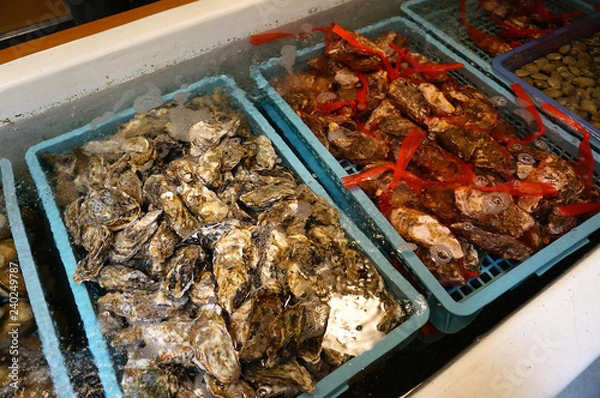 Obraz 北海道・厚岸の牡蠣