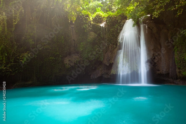 Obraz The Kawasan Falls, Cebu, Philippines