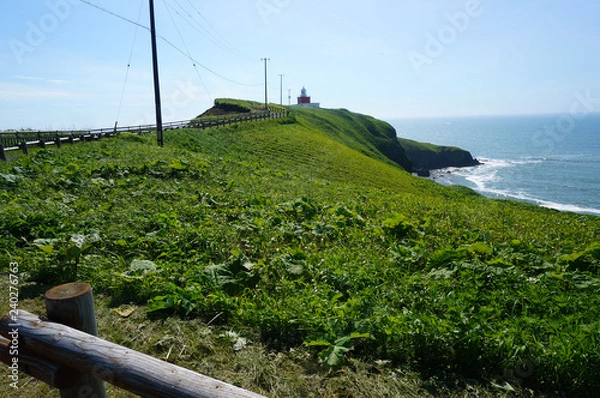 Obraz 北海道・霧多布岬
