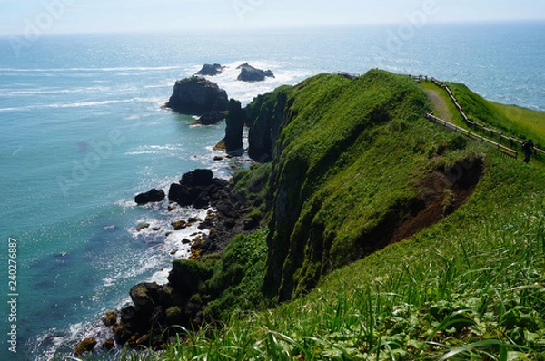 Obraz 北海道・霧多布岬