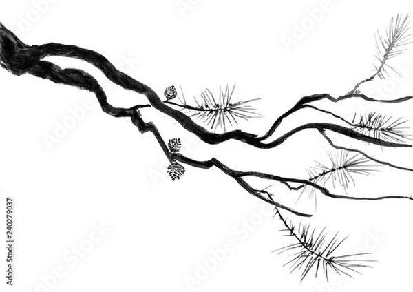 Obraz A branch of the Chinese pine and cones.  Watercolor and ink illustration of a fir tree in style sumi-e, u-sin. Oriental traditional painting.