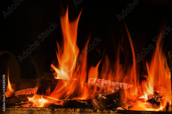 Fototapeta beautiful flame of fire