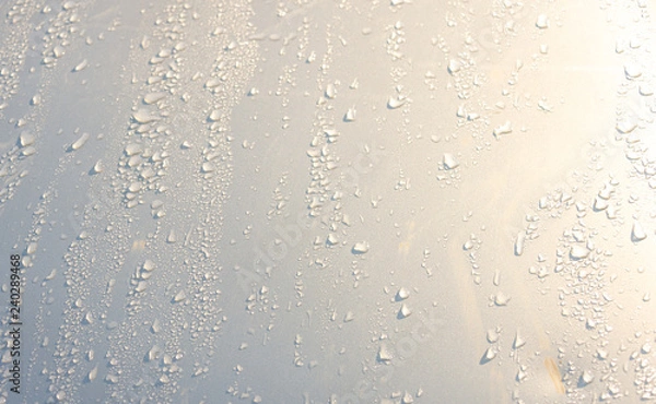 Obraz water drops an white background