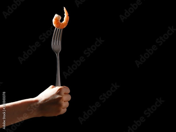 Fototapeta shrimp isolated on black. femal hold silver fork with tiger shrimp isolated on black