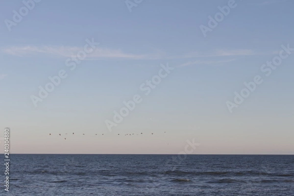 Fototapeta beach trip