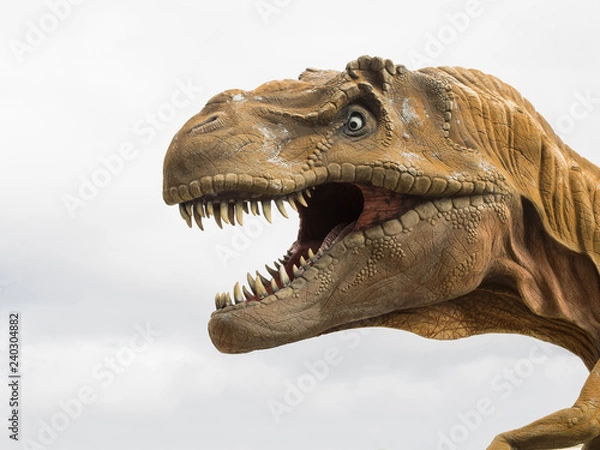 Fototapeta Head profile of a Tyrannosaurus rex (T-rex) model
