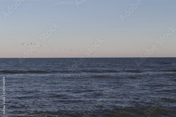 Fototapeta beach trip