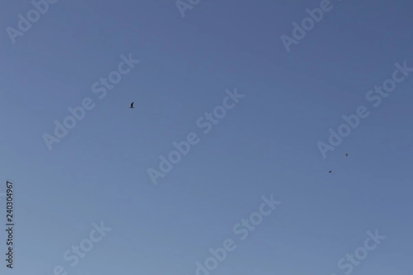 Fototapeta beach trip