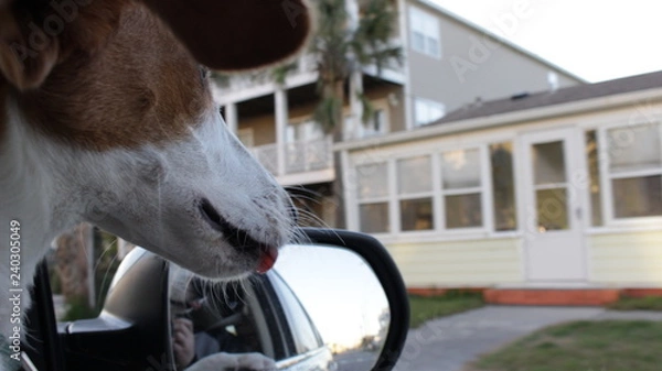Fototapeta beach trip
