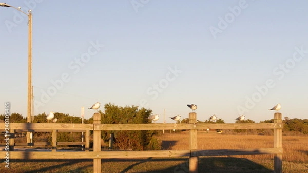 Fototapeta beach trip