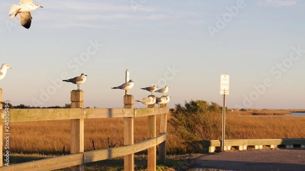 Fototapeta beach trip