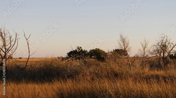 Fototapeta beach trip