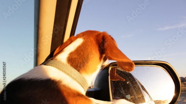 Fototapeta beach trip